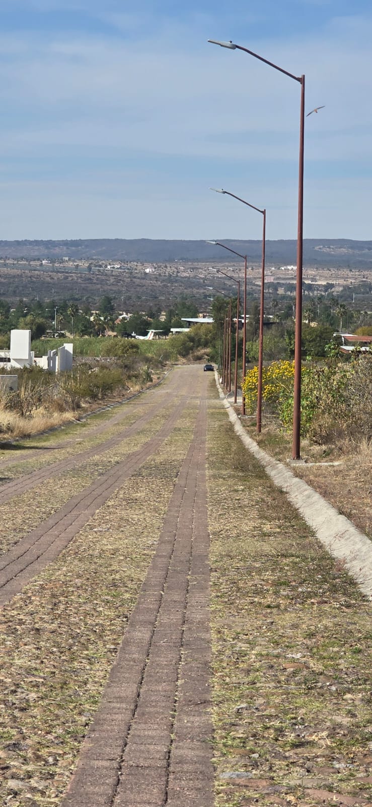 Valle de Reyes, Lagunillas, Jalisco